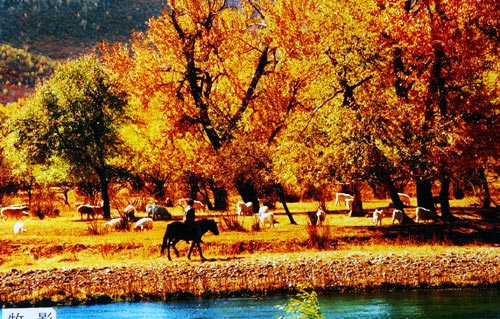 �ƶ���������Ȼ������